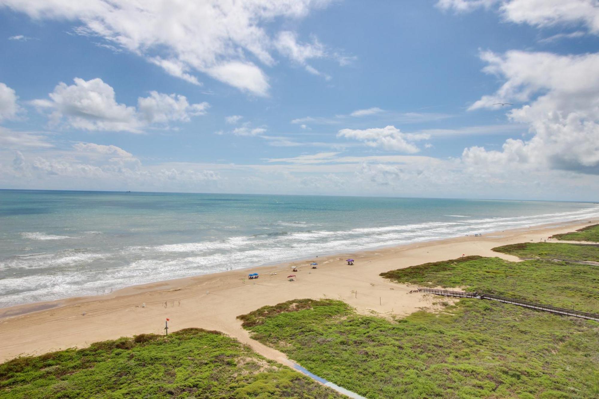 Sunchase Beachfront #210 South Padre Island Dış mekan fotoğraf